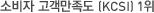 소비자 고객만족도 (KCSI) 1위 