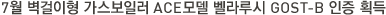 7월 벽걸이형 가스보일러 ACE모델 벨라루시 GOST-B 인증 획득