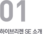 하이브리젠 SE 소개
