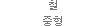 철 중형